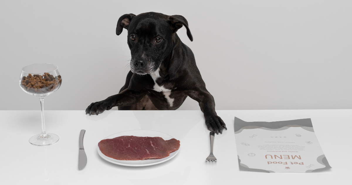 ¿Darles las sobras o arroz? Los alimentos prohibidos y permitidos que pueden comer las mascotas