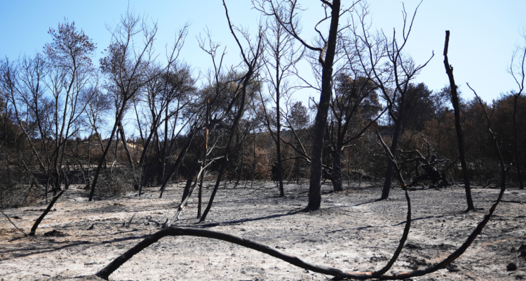 reserva nacional lago peñuelas