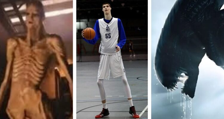 quién es Robert Bobroczky, el basquetbolista de 2,31 metros que actúa como xenomorfo en la nueva película de Alien: Romulus
