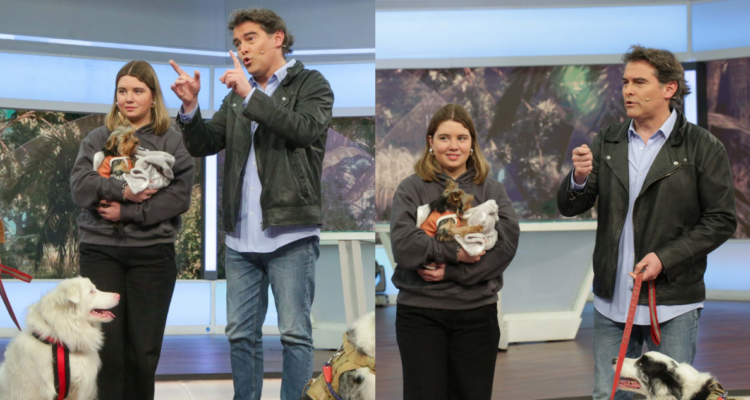 Sebastián Jiménez en Buenos días a todos en referencia a regreso a la TV