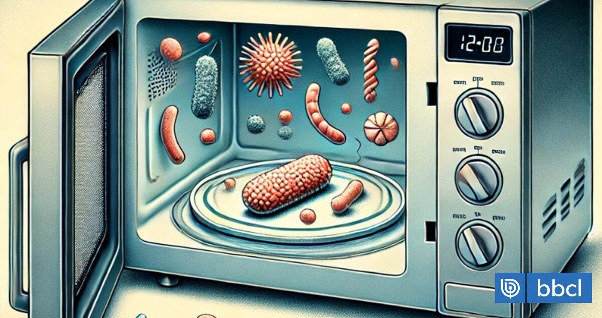 Los microondas están llenos de microbios: infectóloga explica porqué ocurre  esto