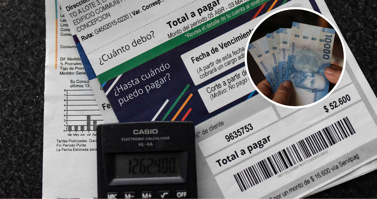 Cuándo se conocerán los resultados de la postulación al subsidio de luz y de cuánto serán los montos