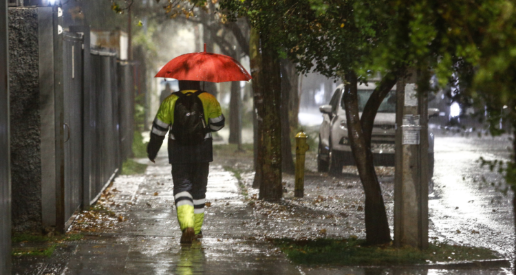 Balance sistema frontal en La Araucanía
