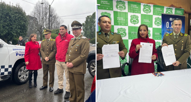 Patrullaje mixto Puyehue