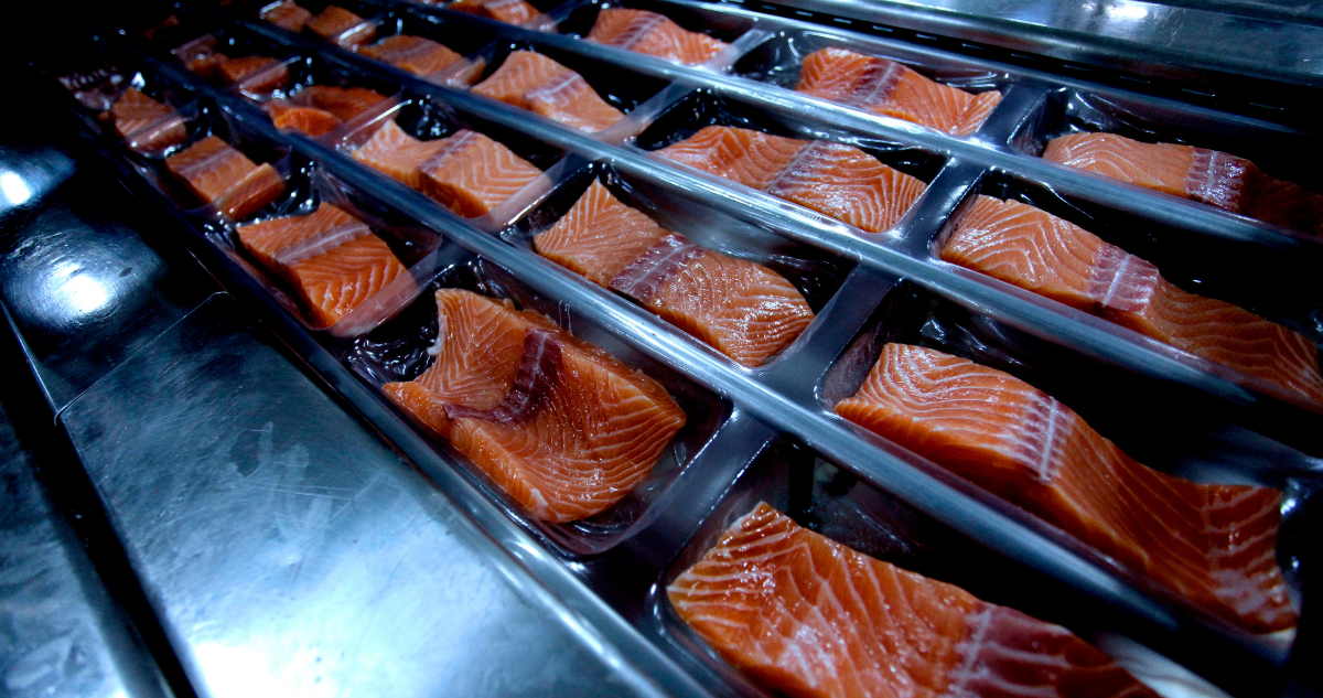 Robo de salmón