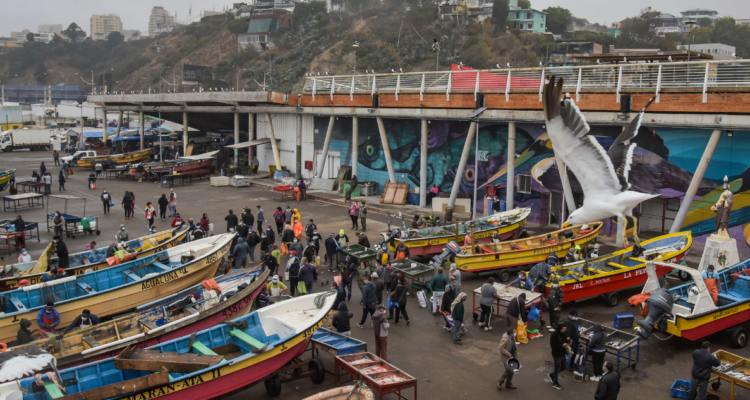 Robo sindicato de pescadores caleta portales