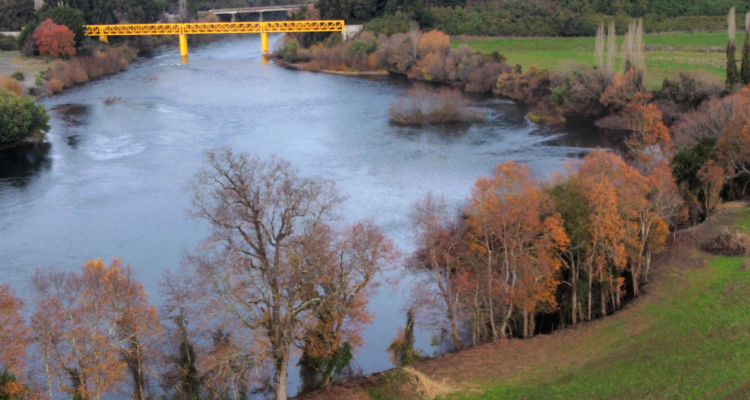 Contaminación río rahue