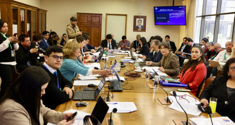 Críticas transversales contra Minsal tras primera sesión de CEI por terapias hormonales a niños trans