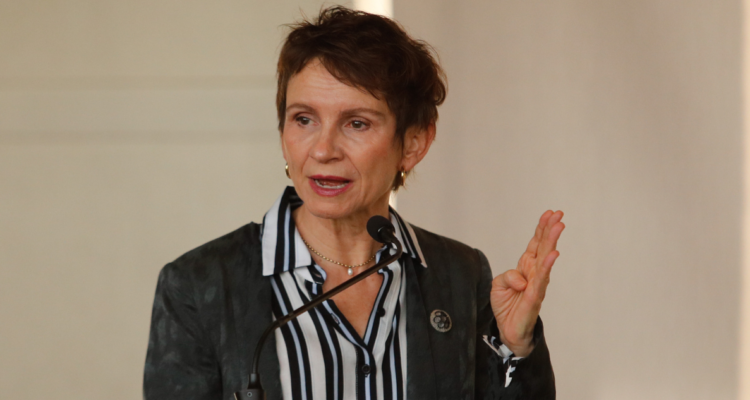 tohá recurso de amparo