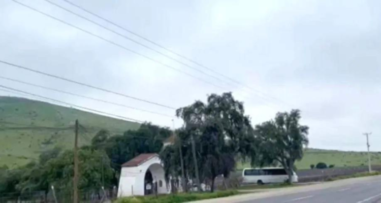 trabajador muere tras quedar atrapado en viña