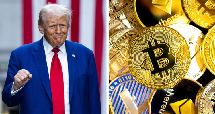 Jim Lo Scalzo | EFE | Photospirit | Pixabay