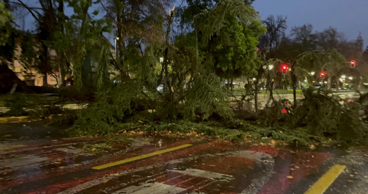 “No se esperaban”: revelan que vientos alcanzaron los 124 km/h en la región Metropolitana