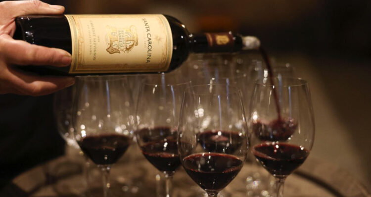 Gobierno lanza nuevo trámite para que el vino chileno se exporte de forma más expedita a Brasil
