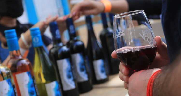 SAG señala que producción de vino en Chile marca tendencia a la baja: anotó caída del 15%