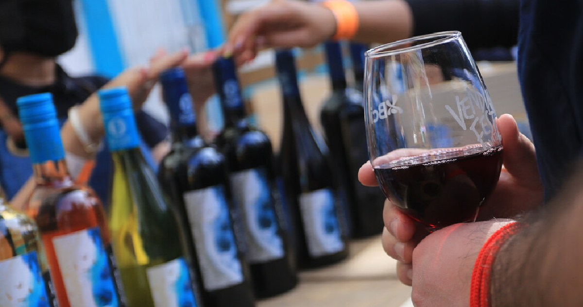 SAG señala que producción de vino en Chile marca tendencia a la baja: anotó caída del 15%