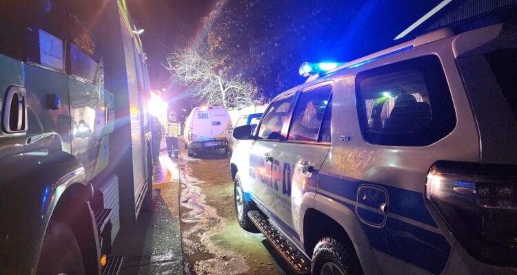 Hombre muere tras ser aplastado por árbol en Osorno: realizaba cortes de madera para leña