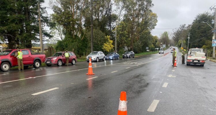 Carabineros de la región de Los Lagos