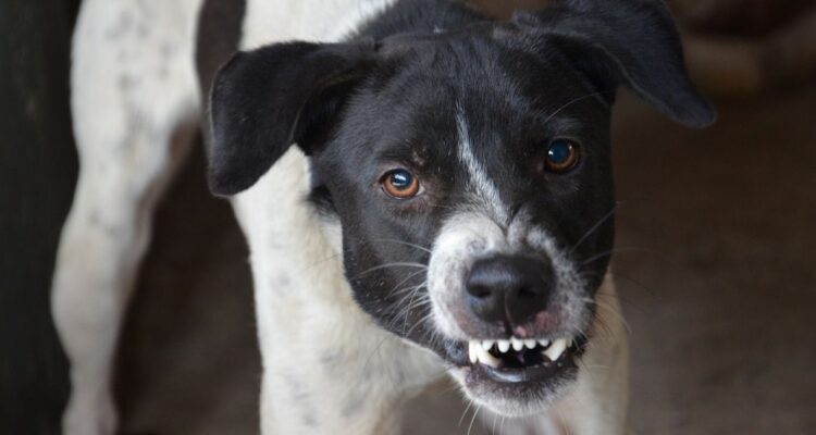 CONTEXTO | Agencia UNO