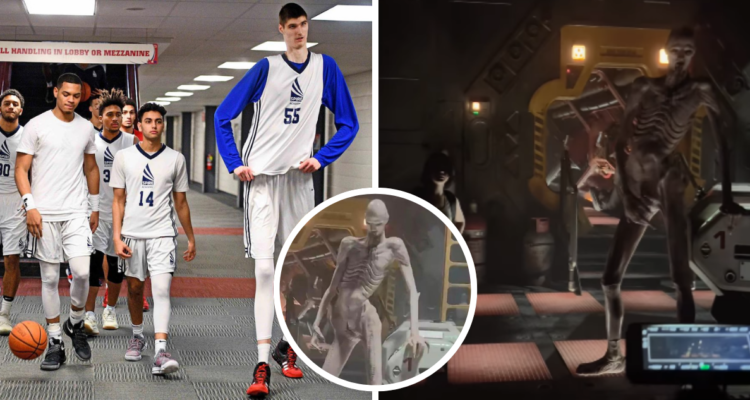 ¿Quién es Robert Bobroczkyi, el basquetbolista de 2,31 metros que causa terror en Alien: Romulus?
