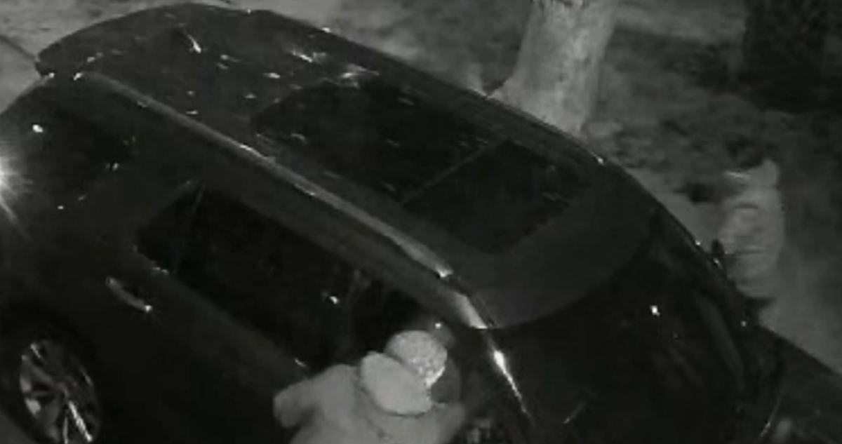 Familia vive violento fin de “18” en La Florida: delincuentes con armamento largo robaron su auto