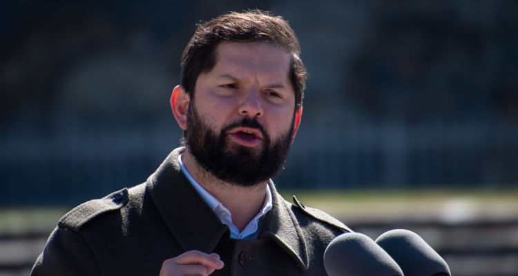 boric delincuentes de cuello y corbata