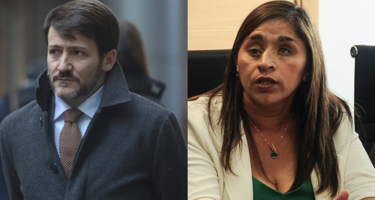 Por muerte de electrodependientes: Campillai citará a la SEC y al ministro Pardow a comisión de DD.HH.