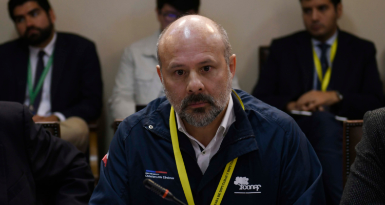 Christian Little renuncia a la dirección nacional de Conaf: asume Aida Baldini