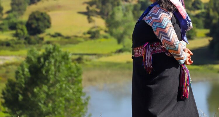 Comisión para la paz y el entendimiento: buscan fórmula para reparación de 10 millones de hectáreas en actuales ciudades.