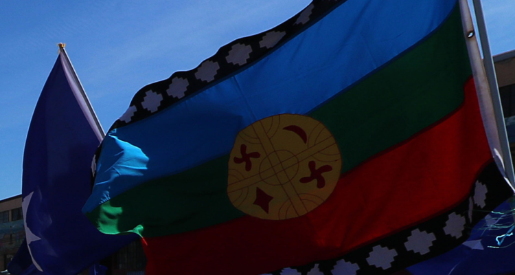 Vandera mapuche por renuncia de comuneros a representación de Defensoría Penal Pública