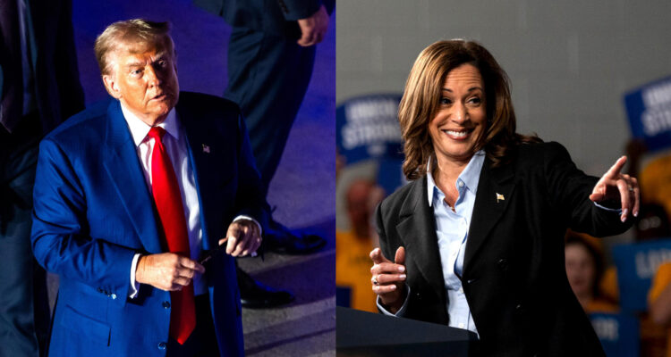 trump y harris