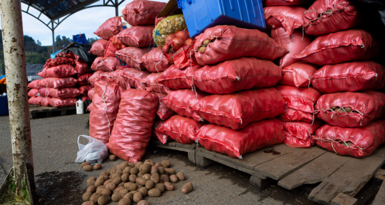 Decomisan papas en Ruta 5 Sur