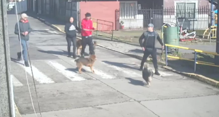 Captura de video por ampliación de la detención por secuestro en Coronel