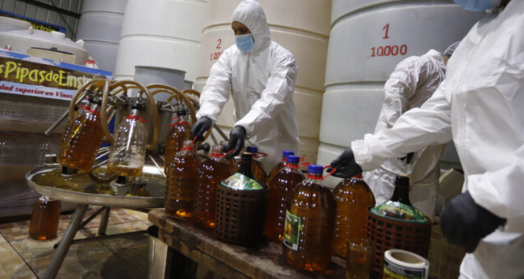 Gobernador regional de Los Lagos planteó necesidad de impulsar apoyo a producción de vinos en zona sur