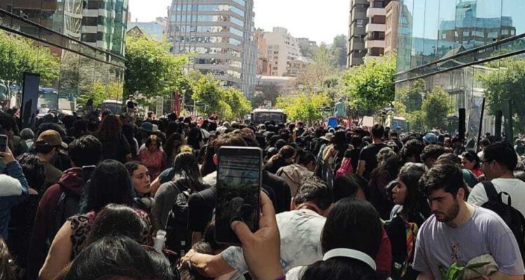 Incidente en el Día del Tulipán tras masiva asistencia: gente arrasó con las flores antes del evento