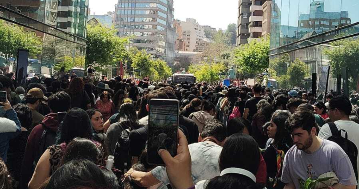 Incidente en el Día del Tulipán tras masiva asistencia: gente arrasó con las flores antes del evento