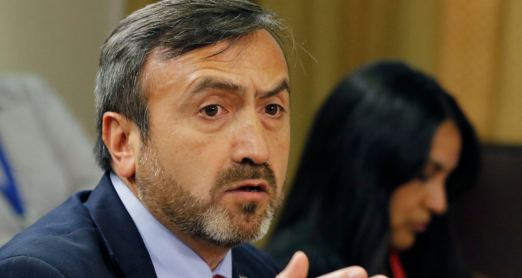 diputado francisco pulgar