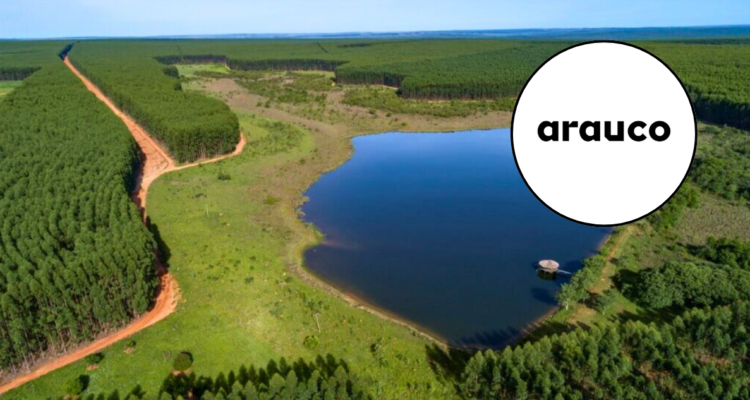 Al igual que CMPC: Arauco opta por Brasil para realizar millonaria inversión de planta de celulosa