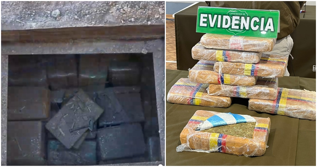 operativo termina con 4 detenidos y más de mil millones en marihuana incautada en Bío Bío
