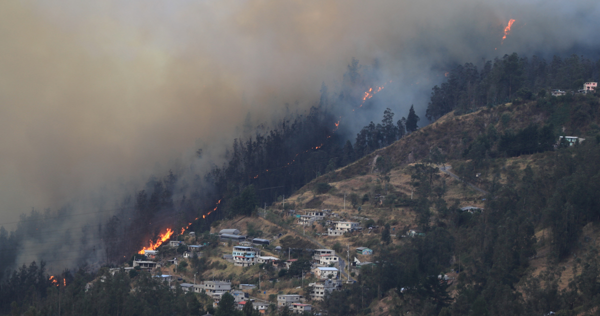 Quito está bajo ataque: capital de Ecuador sufre por megaincendio forestal atribuido a terroristas