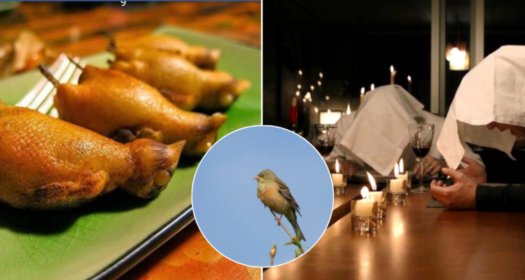 Plato del Escribano hortelano