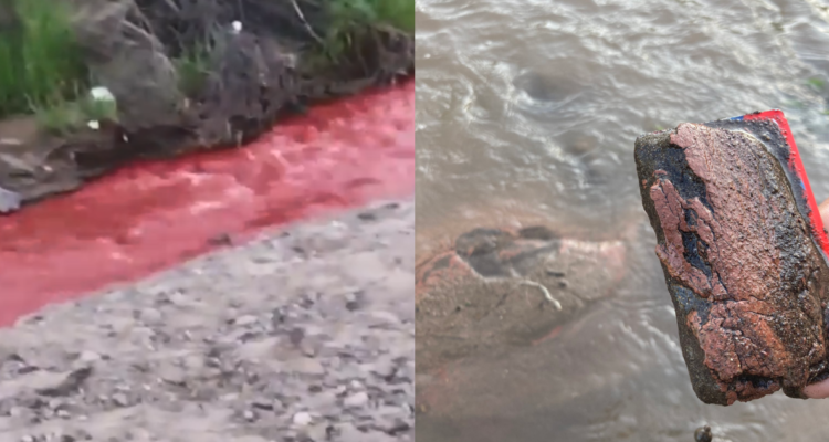 PDI investiga el origen y los responsables del color rojizo del agua en el estero Quilapilún de Colina