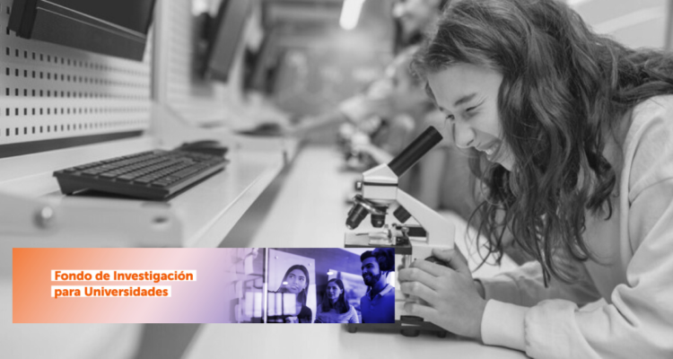 Fondo de investigación para universidades