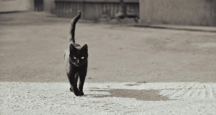 Viernes 13: la historia oculta detrás del mito