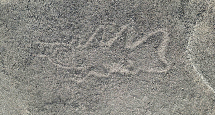 Foto de uno de los nuevo geoglifos encontrados en la Pampa de Nazca