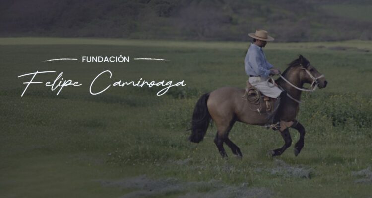 Fundación Felipe Camiroaga