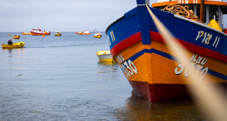 Botes por reparos proyecto de Ley de Pesca por artesanales