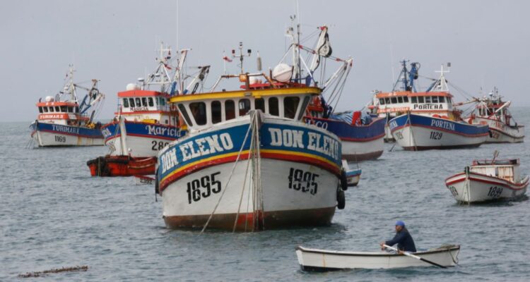 Fuera de la Ley de Pesca: Grau anuncia proyecto de destrabe que fracciona pesca industrial y artesanal