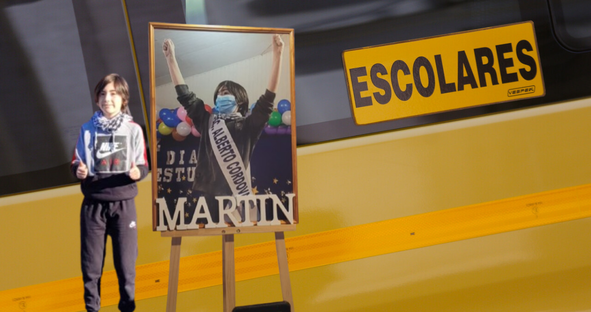 ley martin