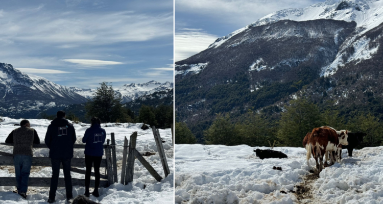 Gobierno decreta estado de emergencia agrícola en provincia de Palena y comuna de Cochamó por nevazón