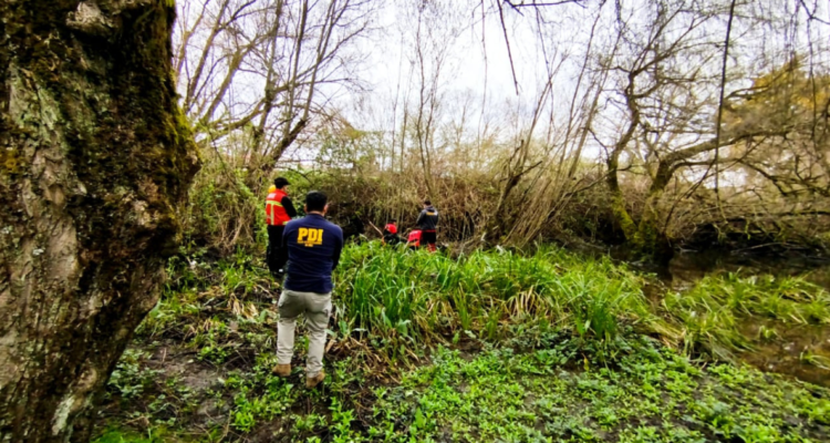 Hallan cadáver en Osorno: indagan si corresponde a adulto mayor extraviado